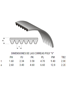 CORREA POLY V 5PJ 1249 MA ELEASTICA