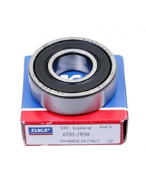 RULEMAN 6004 2RS SKF
